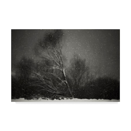 Photocosma 'Winter Black Tree' Canvas Art,22x32